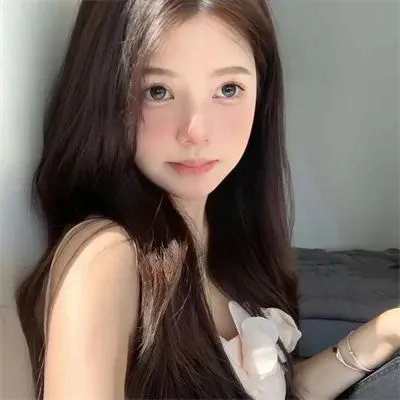 狗狗大展